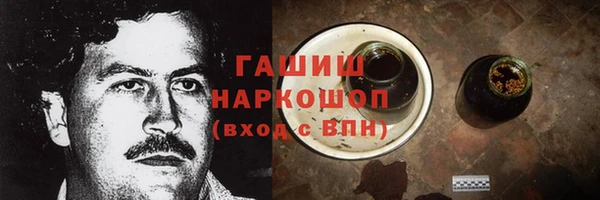 ECSTASY Бородино