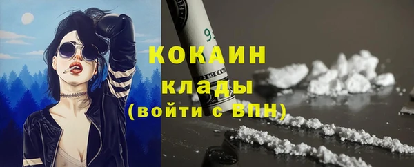 ECSTASY Бородино