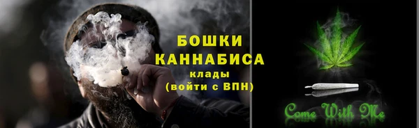 ECSTASY Бородино