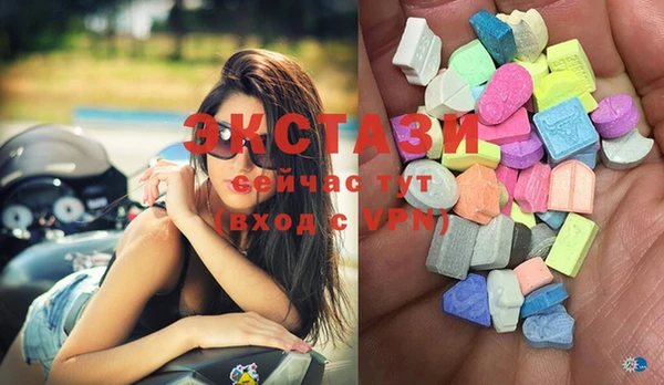 ECSTASY Бородино