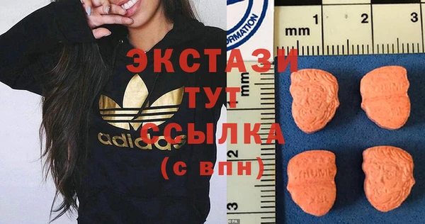 ECSTASY Бородино