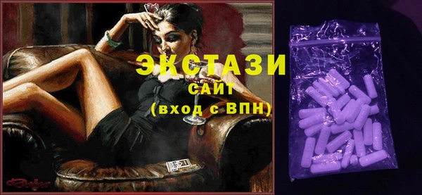ECSTASY Бородино