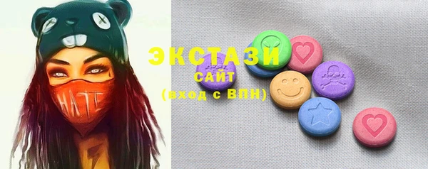 ECSTASY Бородино