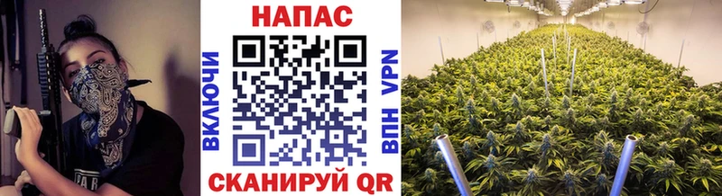 Шишки марихуана тримм цена Дзержинский